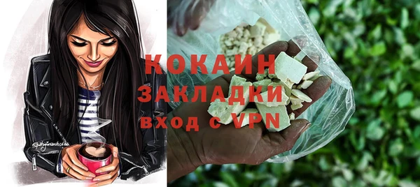 стаф Алзамай