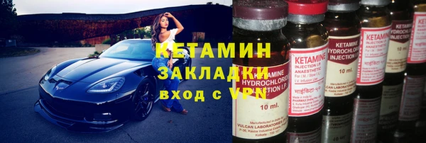 стаф Алзамай