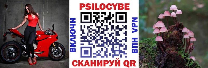 Псилоцибиновые грибы Psilocybe mega онион Обоянь