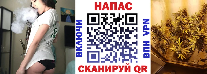 МАРИХУАНА сатива Обоянь